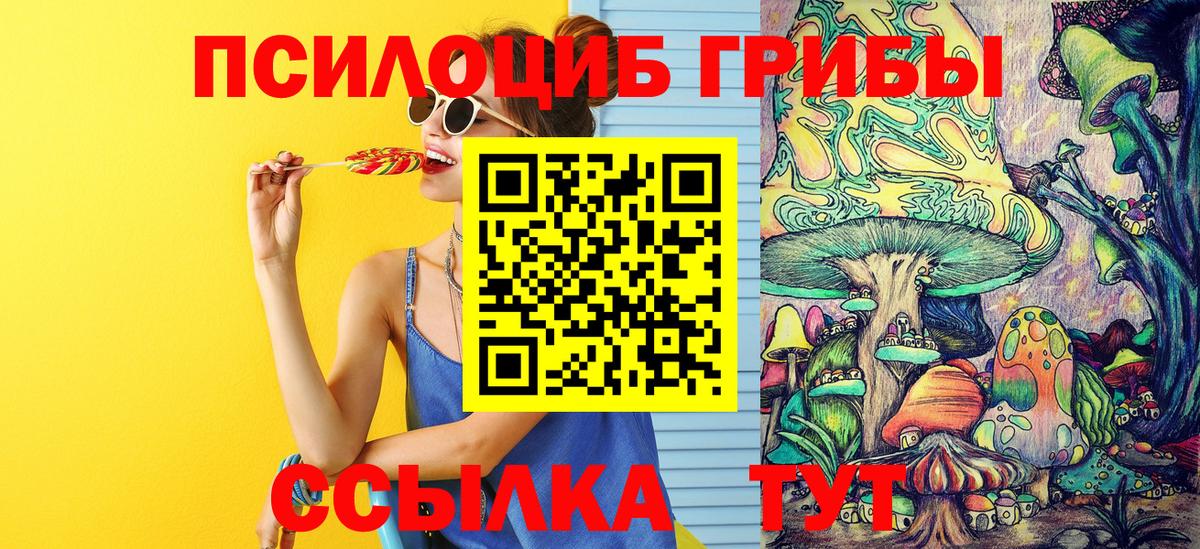 Псилоцибиновые грибы мицелий Рубцовск